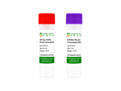 M-MLV Reverse Transcriptase M2 - HYA212