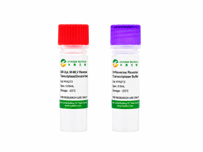 M-MLV Reverse Transcriptase(Glycerol free)M-MLV Reverse Transcriptase(Glycerol free) - HYA213