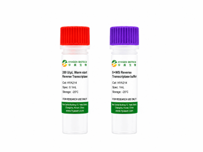 Warm start M-MLV Reverse Transcriptase M2 - HYA214