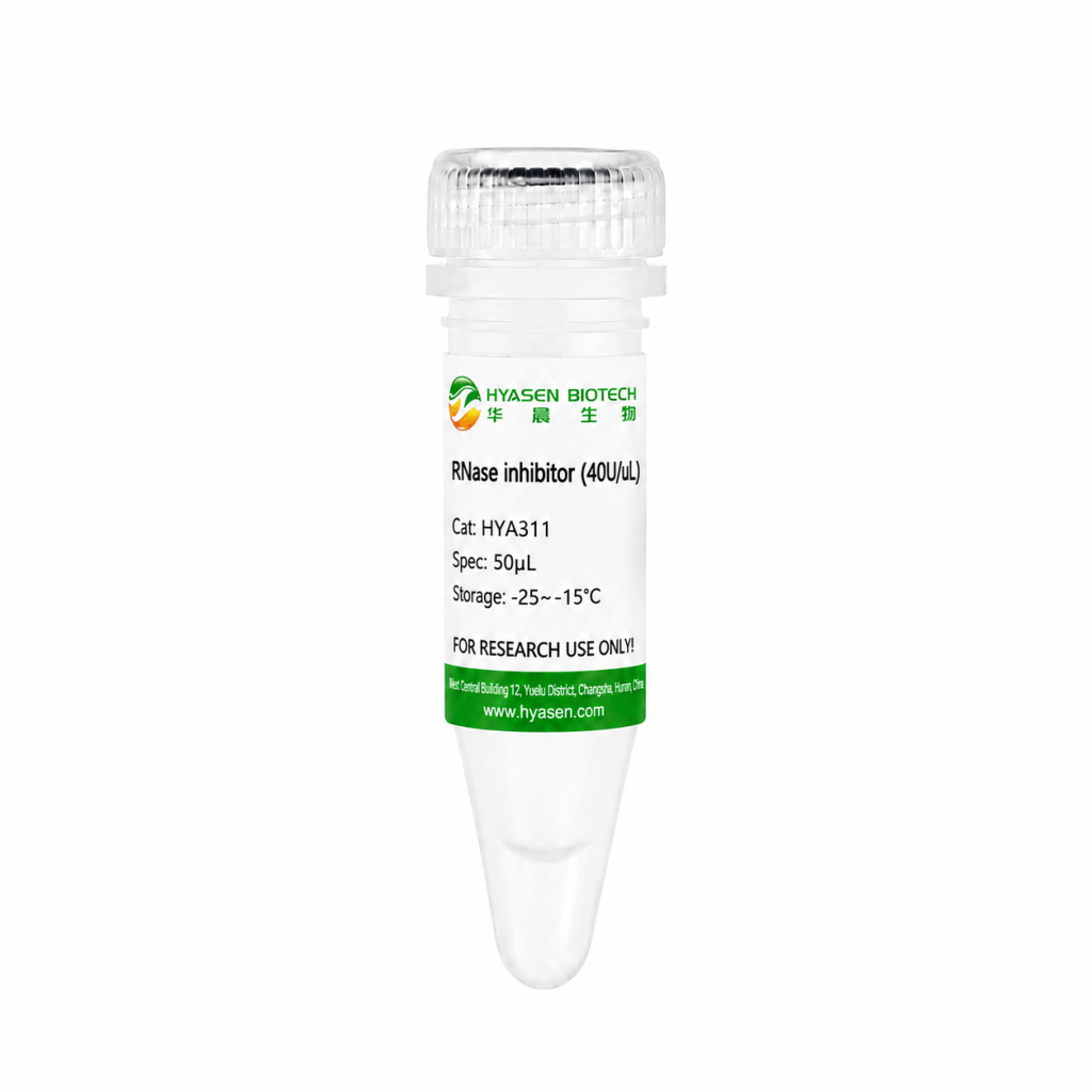 M-MLV Reverse Transcriptase - HYA311