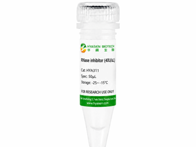 M-MLV Reverse Transcriptase - HYA311