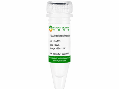 Uracil-DNA Glycosylase (UNG) - HYA313