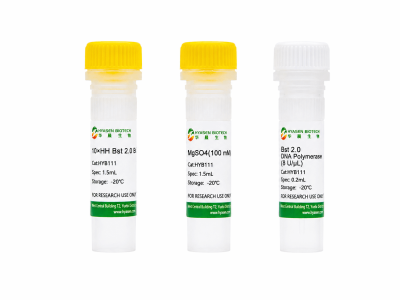 Bst 2.0 DNA Polymerase - HYB111