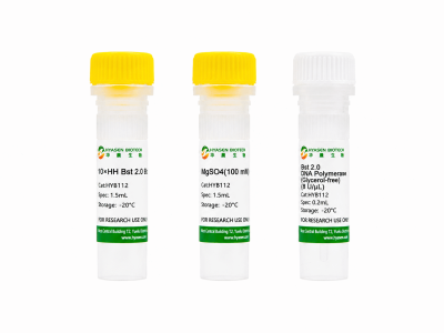 Bst 2.0 DNA Polymerase (Glycerol free) - HYB112