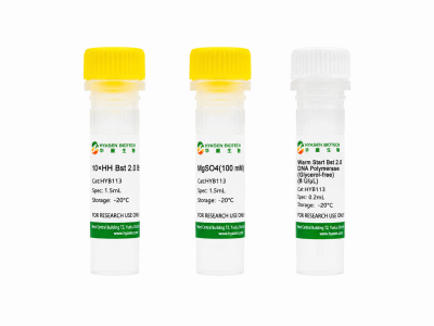 Warm Start Bst 2.0 DNA Polymerase (Glycerol free) - HYB113