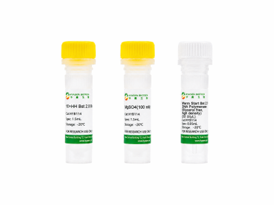 Warm Start Bst 2.0 DNA Polymerase (Glycerol free, high density) - HYB114