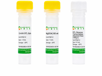 RTL Reverse Transcriptase (Glycerol free) - HYB212