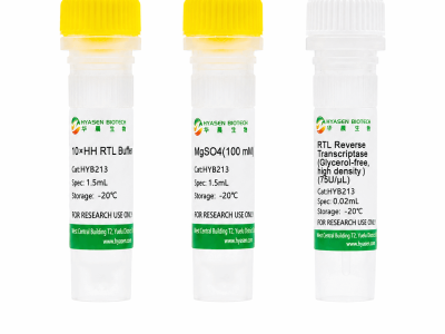 RTL Reverse Transcriptase (Glycerol free, high density) - HYB213