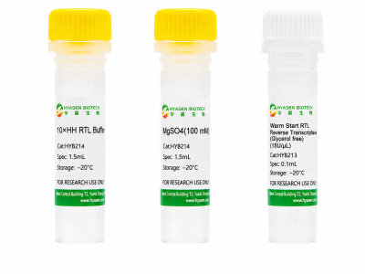 Warm Start RTL Reverse Transcriptase (Glycerol free) - HYB214