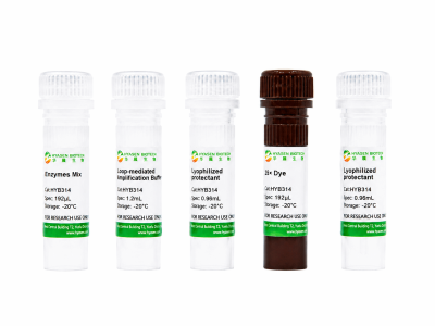 LAMP Fluorescent Master Mix - HYB314
