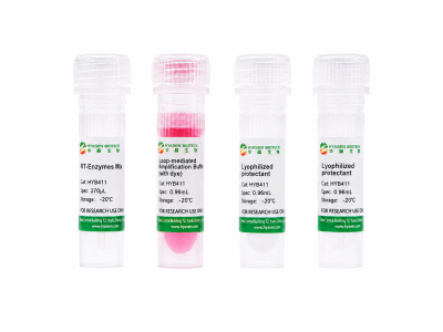 RT-LAMP Colorimetric Master Mix - HYB411