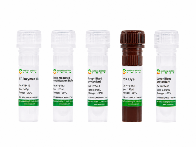 RT-LAMP Fluorescent Master Mix - HYB413