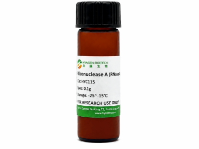 Ribonuclease A (RNase A) - HYC115