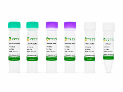 Hyaseq rRNA Depletion Kit (Plant) - HYD219