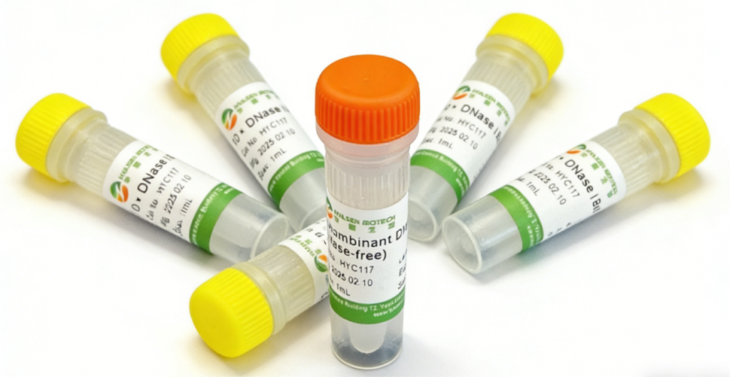 Recombinant DNase I for RNA preparation and DNA residue removal