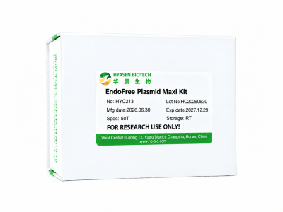 EndoFree Plasmid Maxi Kit - HYC213
