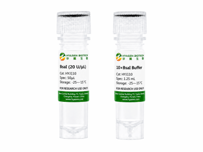 BsaI Restriction Endonuclease - HYJ110
