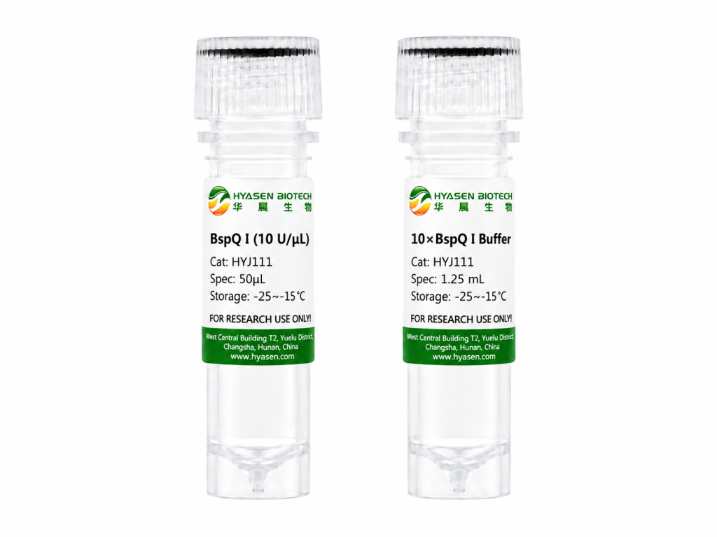 BspQ I Restriction Endonuclease - HYJ111