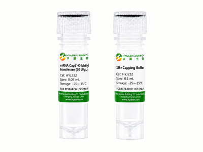 mRNA Cap2'-O-Methyltransferase - HYJ232
