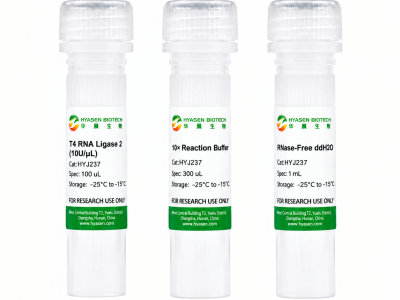 T4 RNA Ligase 2 - HYJ237