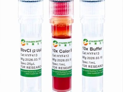 BbvCI - HYF413