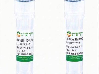 BsmBI - HYF212