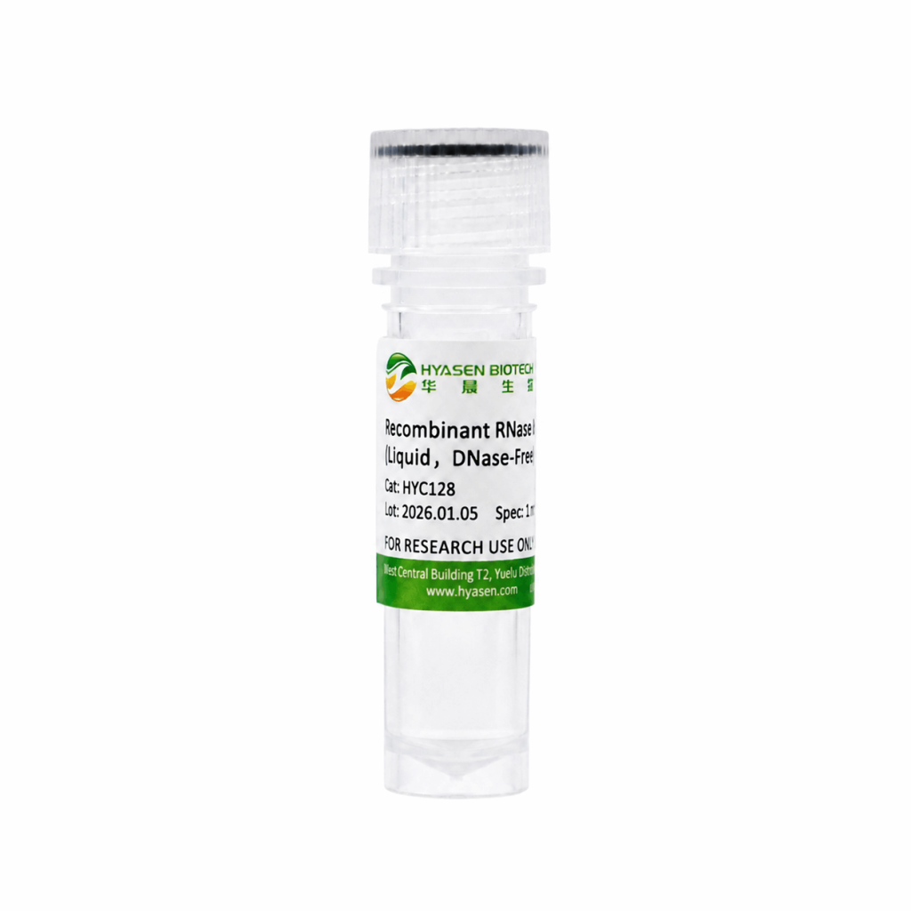 Recombinant RNase A (Liquid, DNase-Free) - HYC128