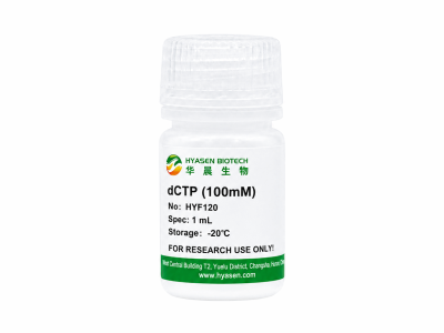 dCTP (100mM) - HYF120