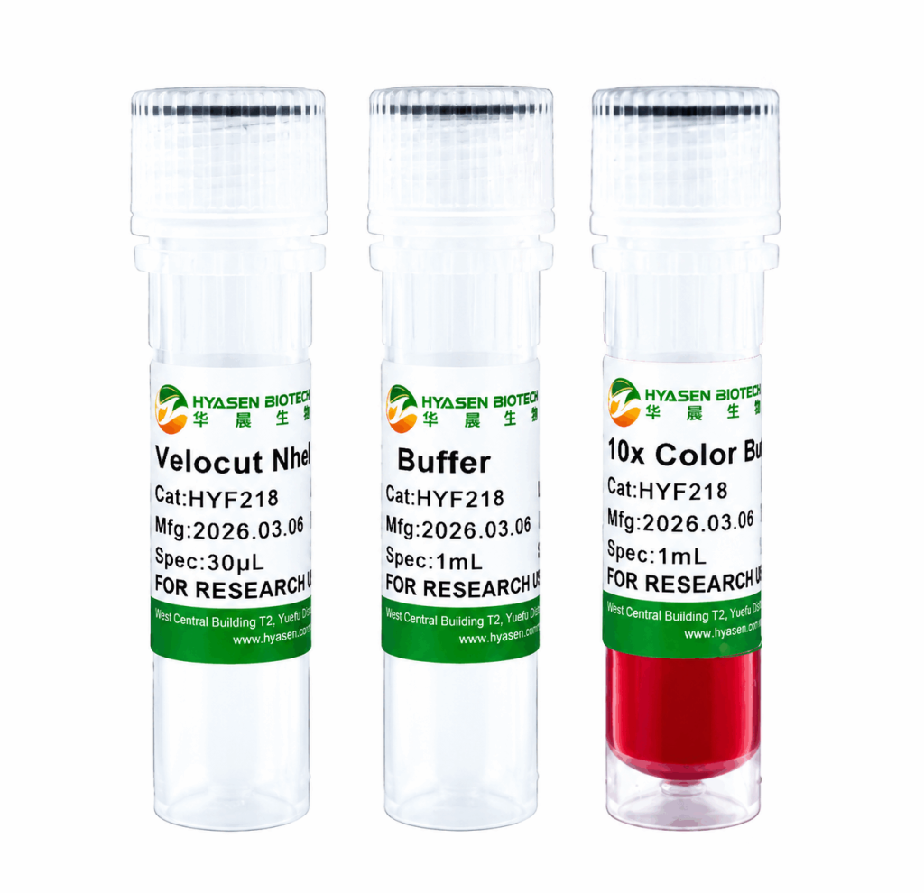 Velocut NheI - HYF218