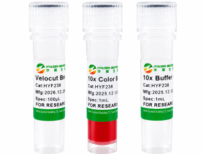 Velocut BglII - HYF238