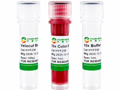 Velocut BglII - HYF238