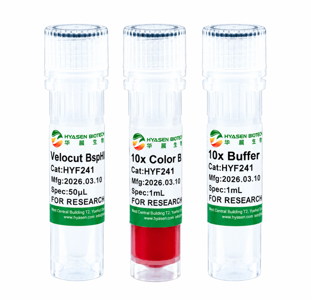 Velocut BspHI - HYF241