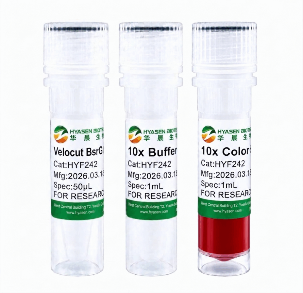 Velocut BsrGI - HYF242
