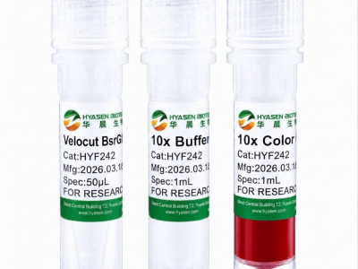 Velocut BsrGI - HYF242
