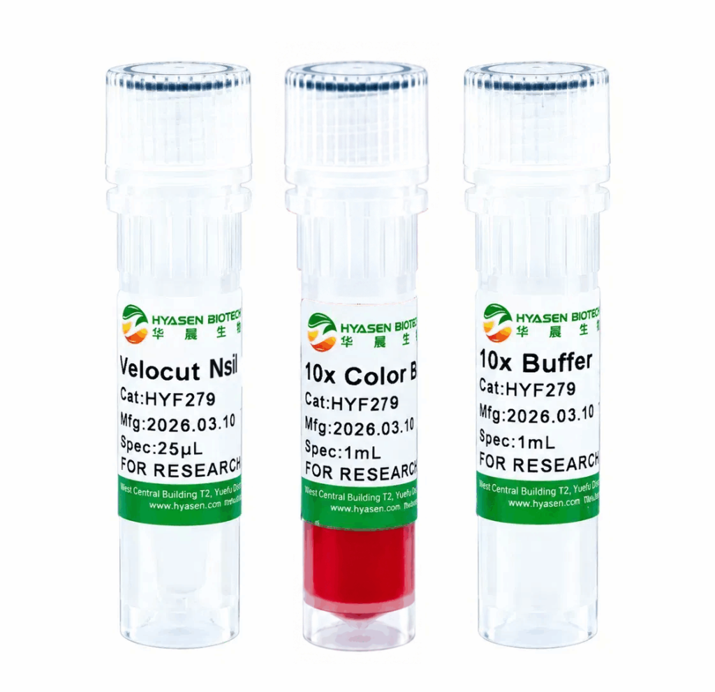Velocut NsiI - HYF279