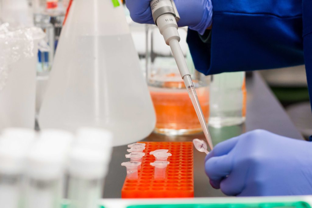 A researcher wearing blue gloves handles experimental equipment and samples.